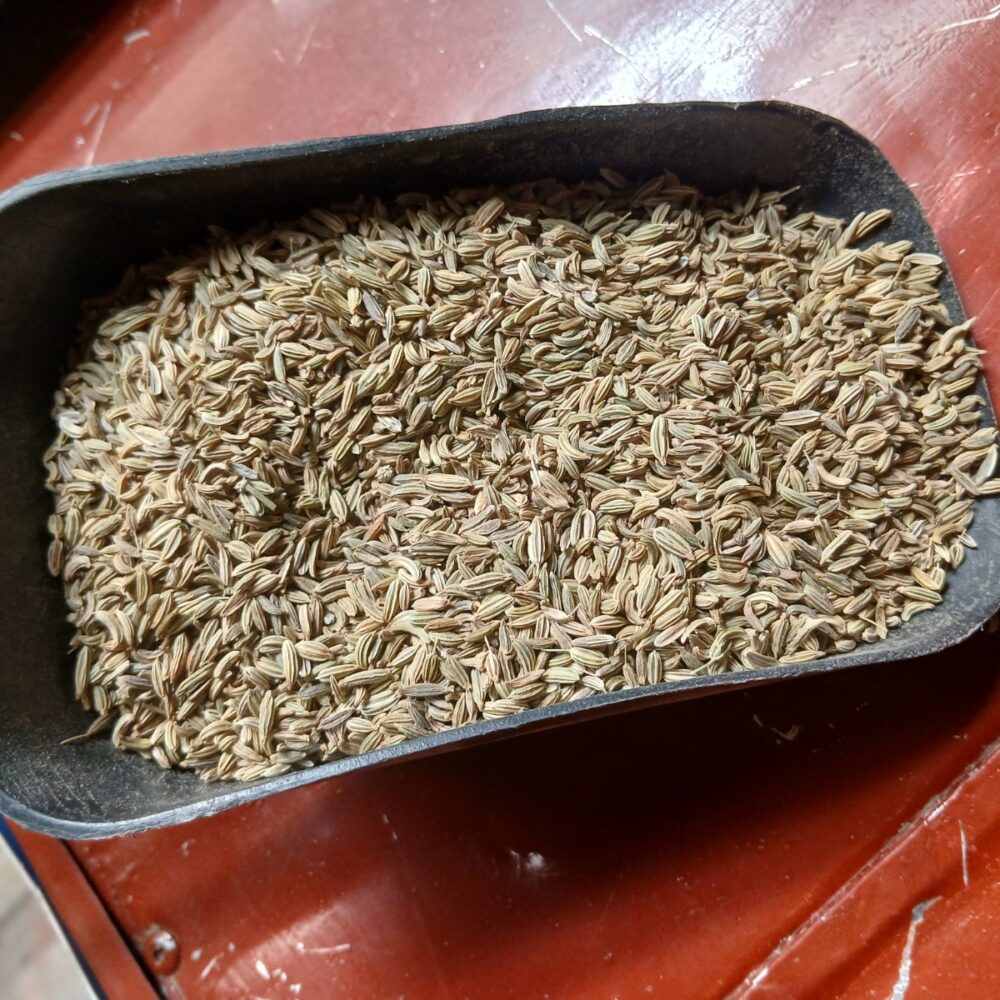 gallery-20260617104827862 fennel seed/wariyari