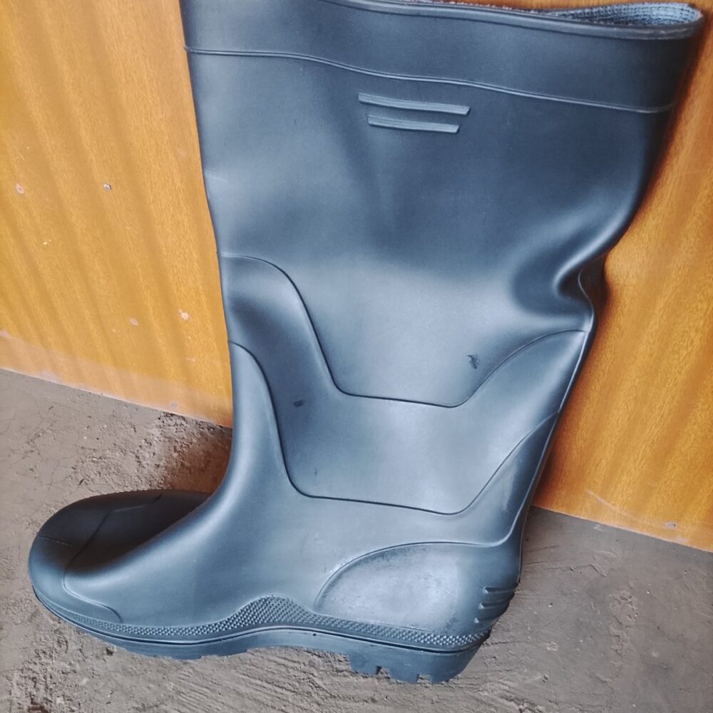 gallery-20260618104324229 Shoe