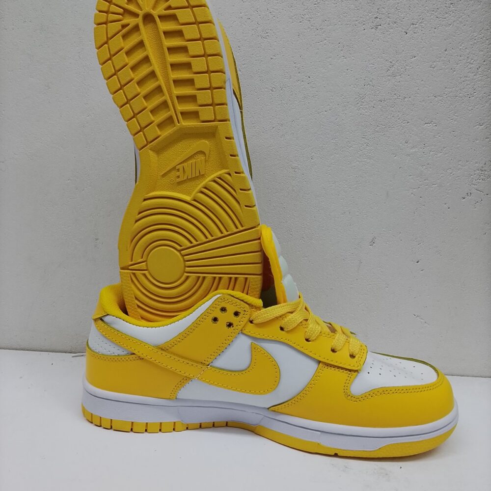 gallery-20260624115636481 Nike SB Dunk Low