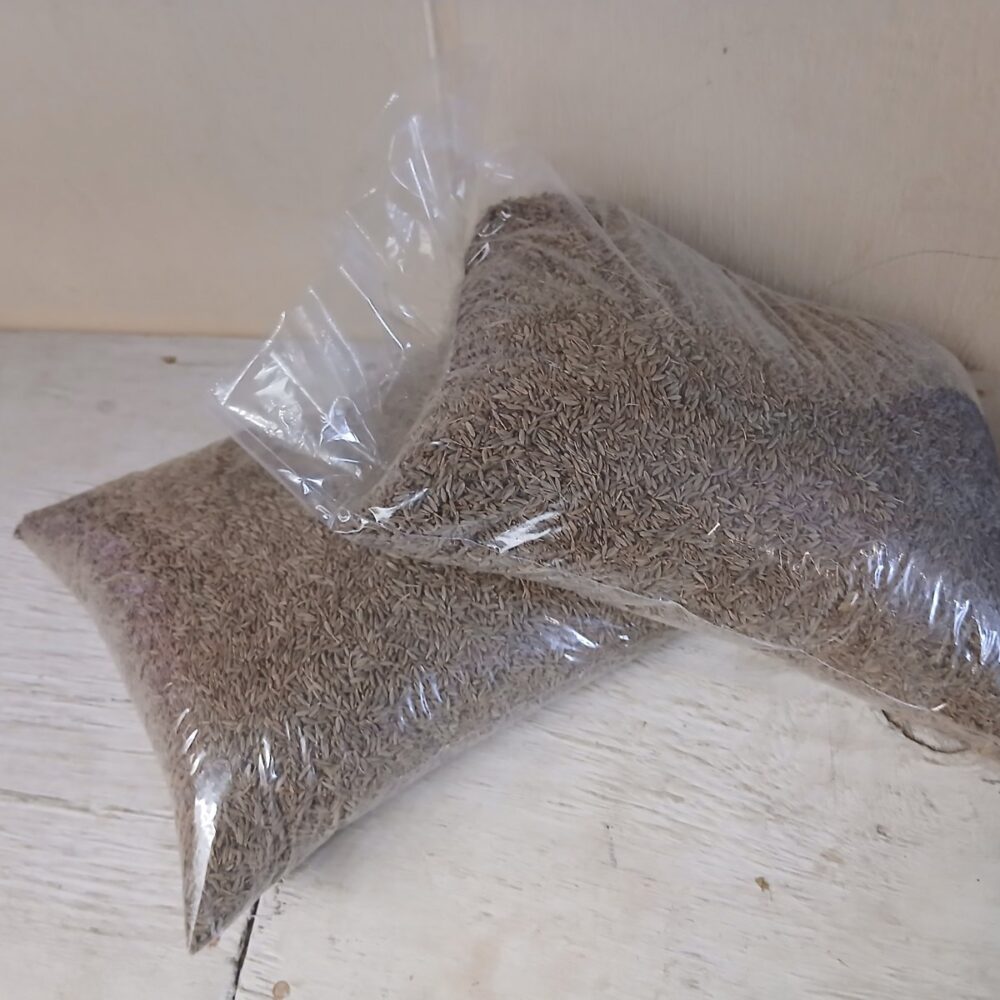 main Cumin seed