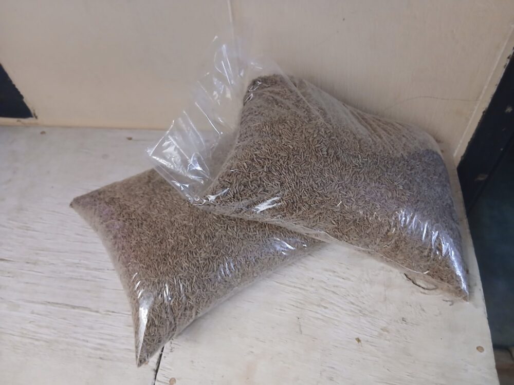 main Cumin seed