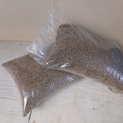 main Cumin seed