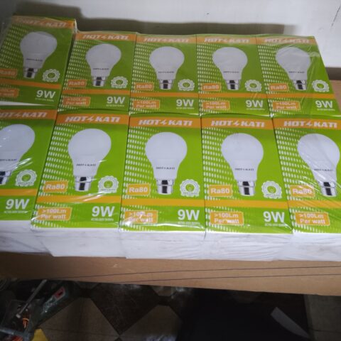main Bulb