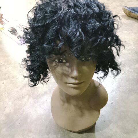 Wig