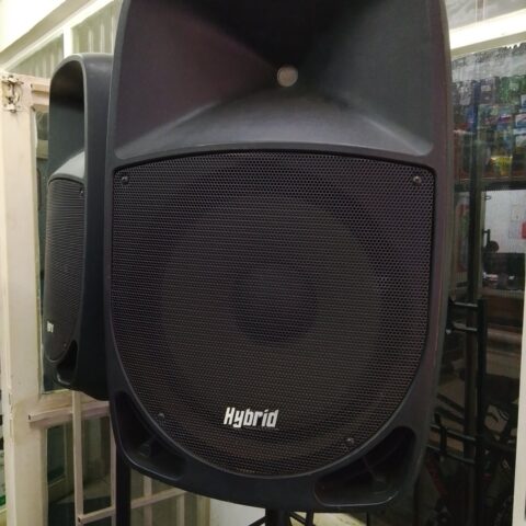 Hybrid Speaker