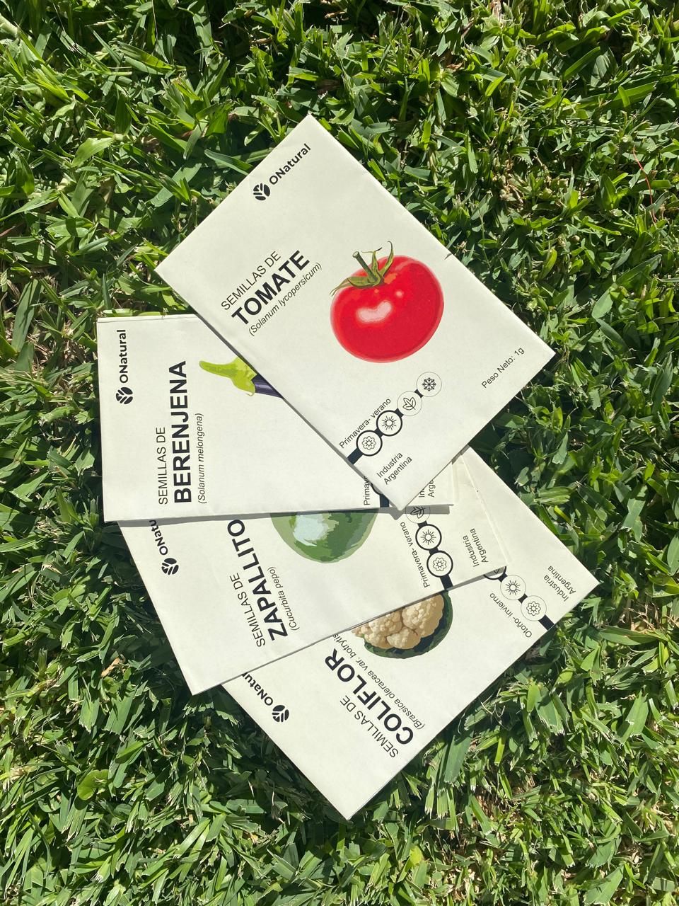 Seeds
