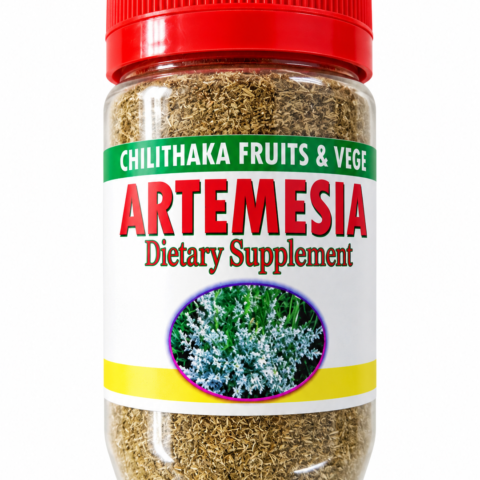 Codex Image Sep 11, 2026, 11_03_48 AM Chilinthaka Artemesia