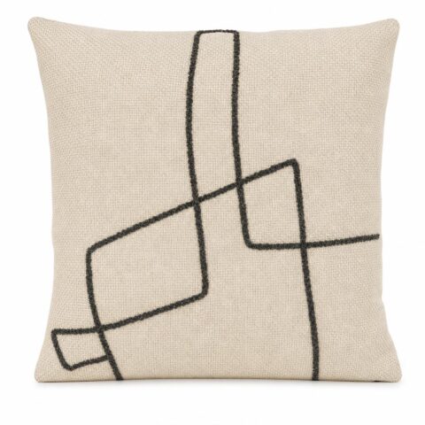 PHOTO-2026-08-31-12-34-01 cushion