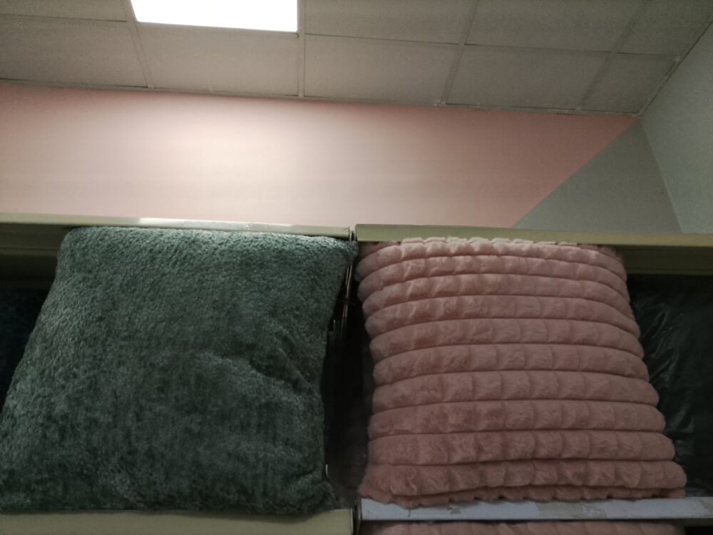 gallery-20260703115039021 Pillow