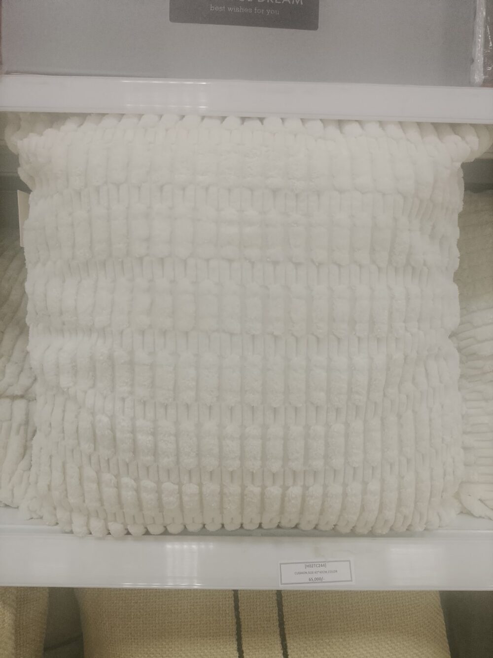 Cushion