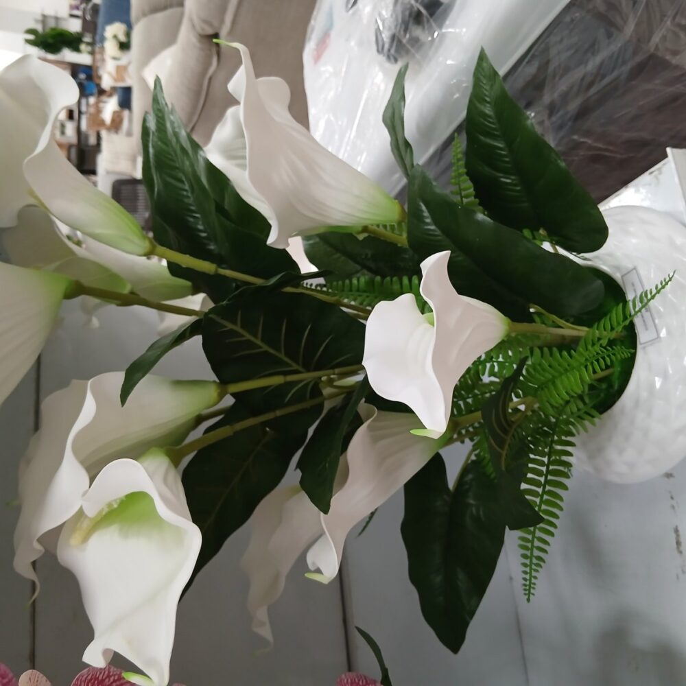 gallery-20260707144433762 Potted orchid