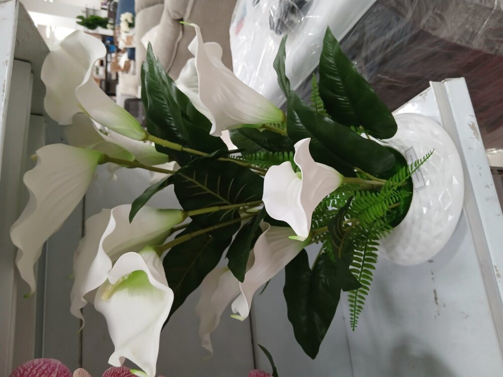 gallery-20260707144433762 Potted orchid