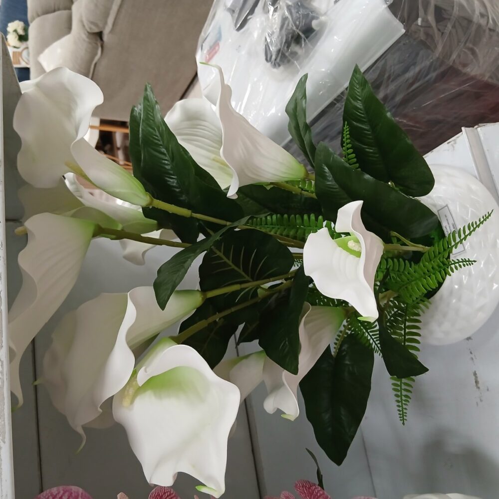 gallery-20260707144449985 Potted orchid