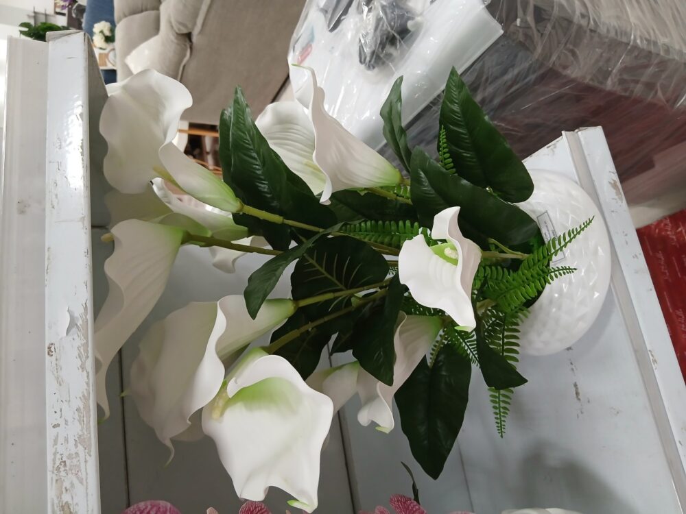 gallery-20260707144449985 Potted orchid