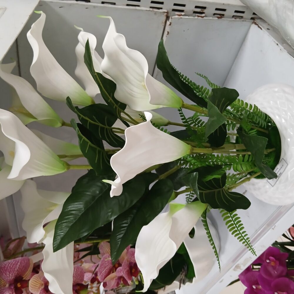 gallery-20260707144504293 Potted orchid