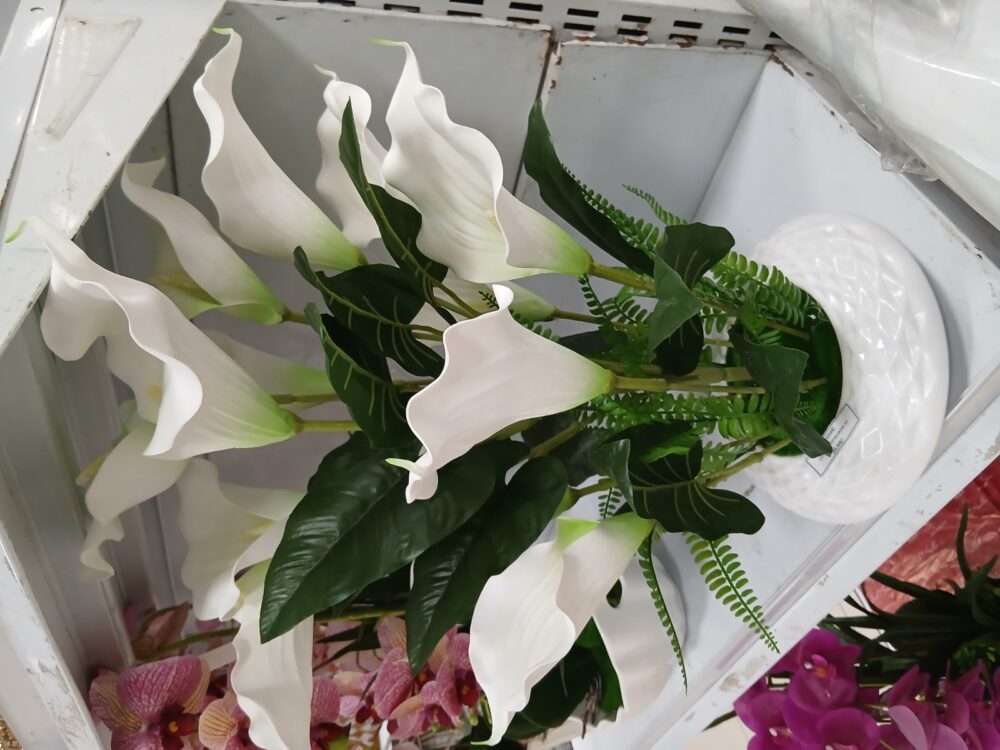 gallery-20260707144504293 Potted orchid