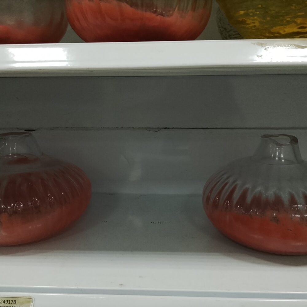 gallery-20260708113446084 Glass Vase