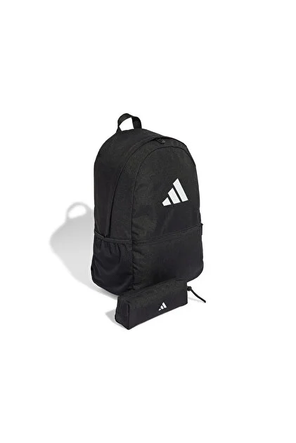 image42 ADIDAS CLSC PCASE BP