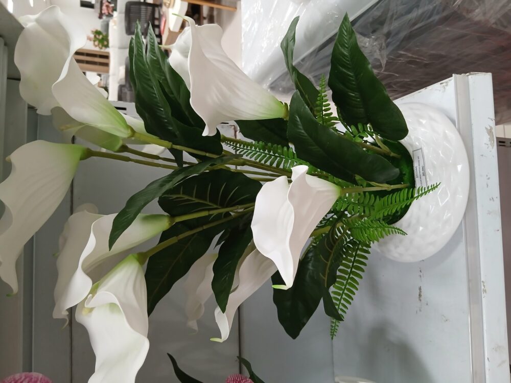 main Potted orchid