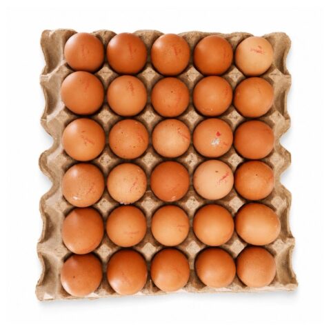 Fresh Eggs