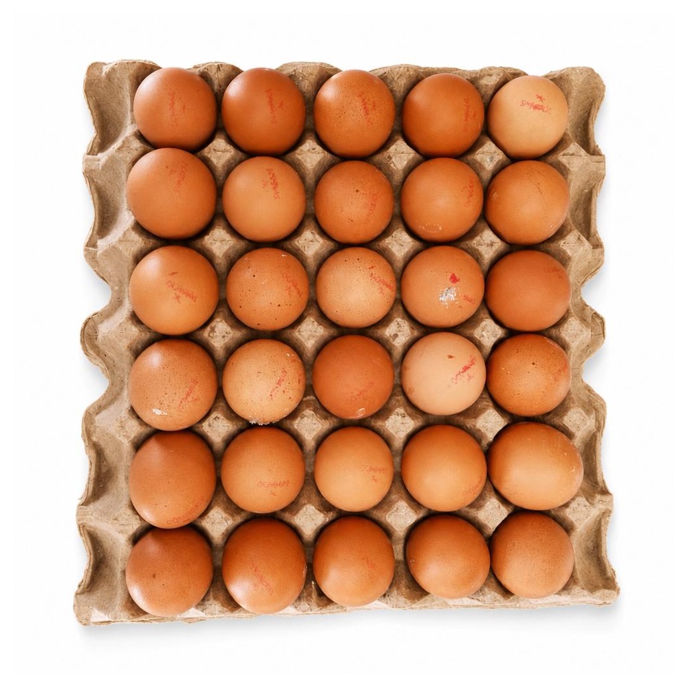 Egg_each_13 Fresh Eggs