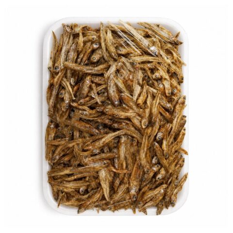 Fish_matemba_a_minga_umodzi_akulu_4 Matemba a minga umodzi: akulu