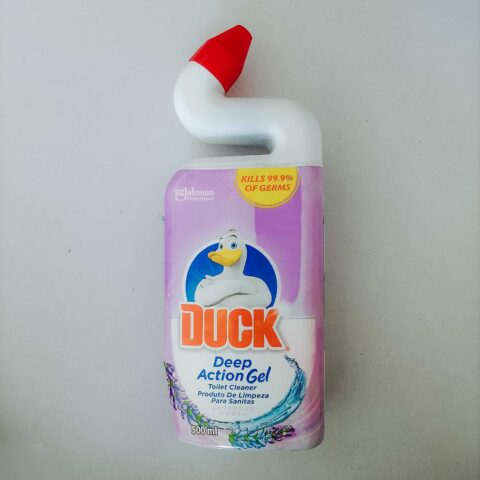IMG_20260527_093422-Edit DUCK TOILET
