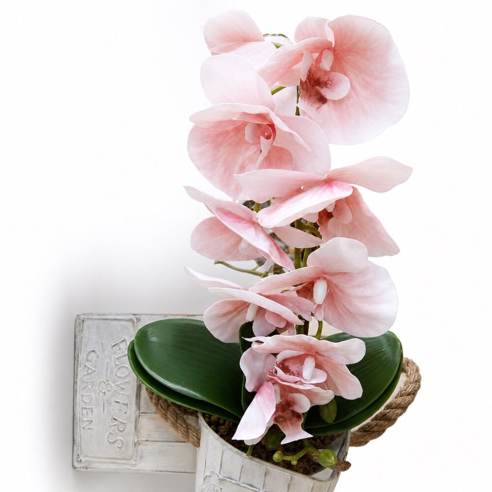 Image-1 Potted orchid