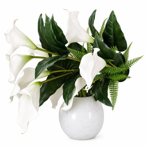 Potted orchid