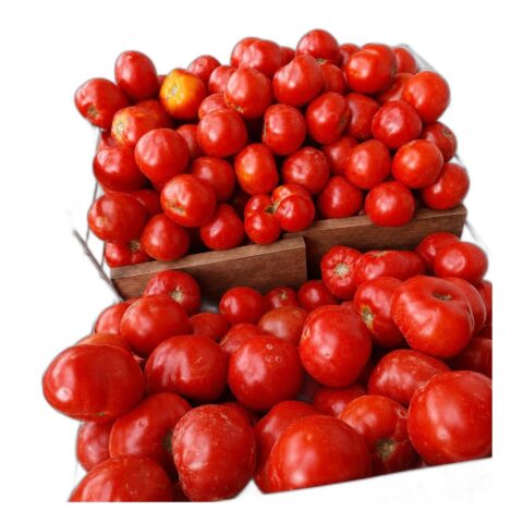 Tomato_96 Tomato per KG