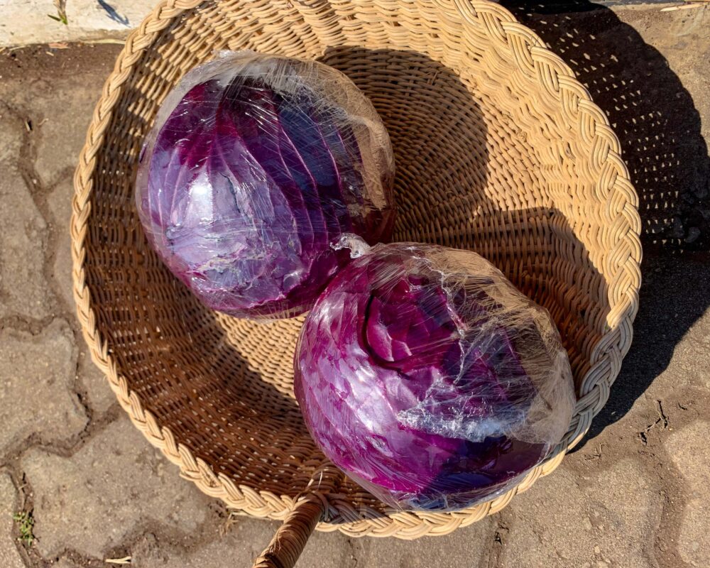 image11 RED CABBAGE