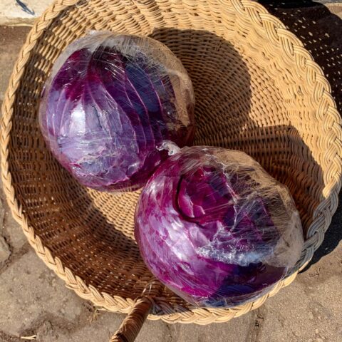image11 RED CABBAGE