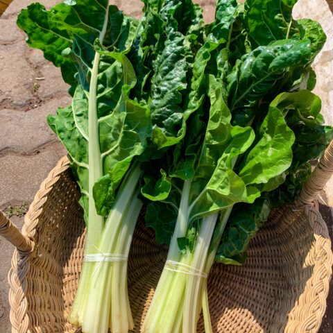 SPINACH