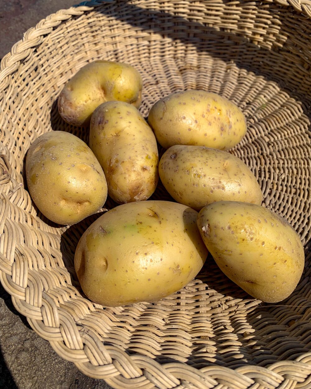 IRISH RSA