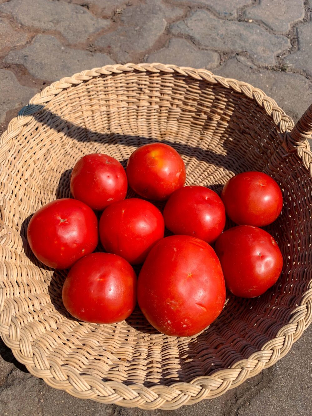 TOMATOES