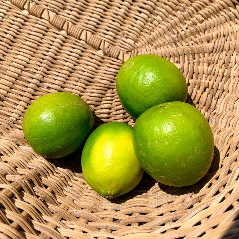 image2 Lime