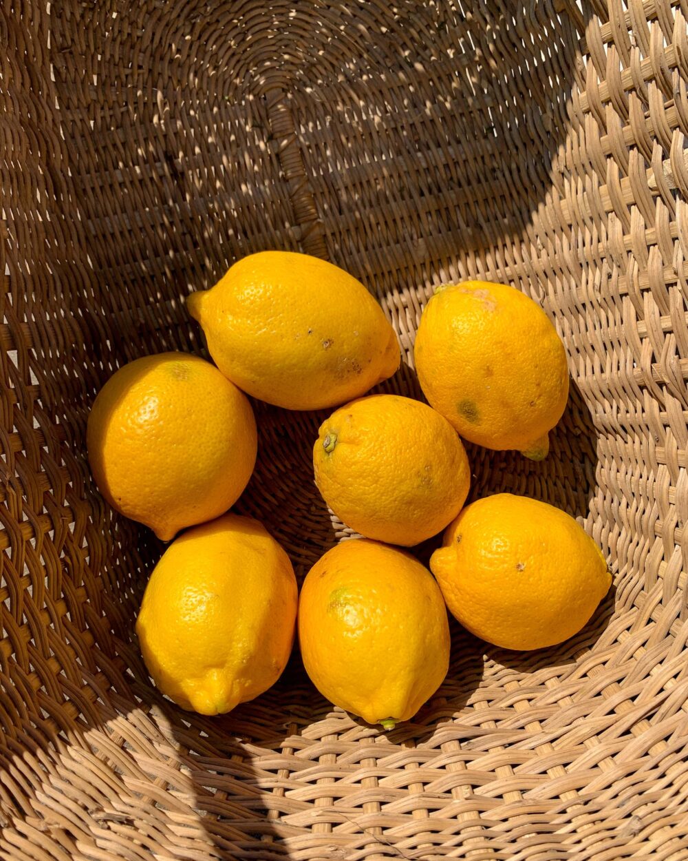 LEMONS