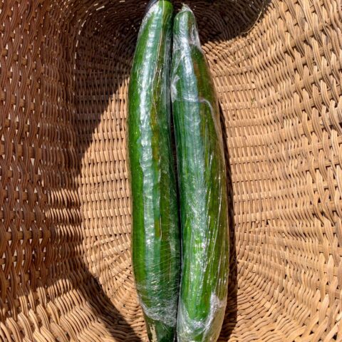 image6 ENGLISH CUCUMBER