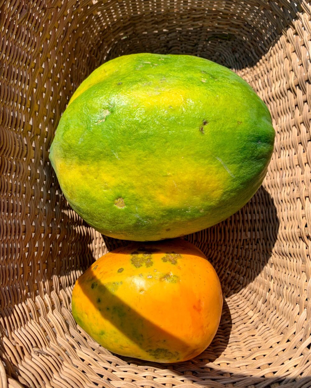 PAWPAW