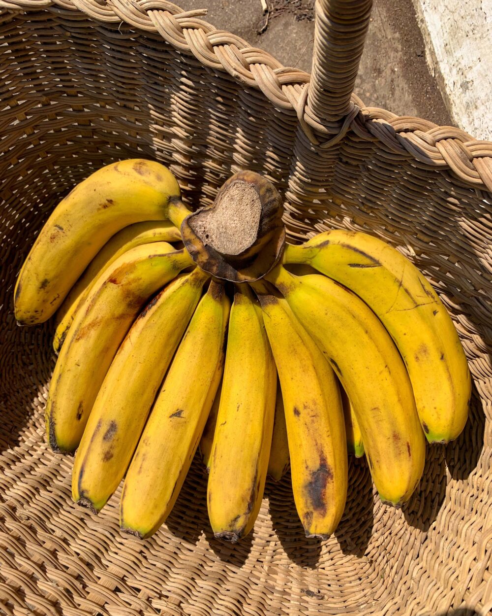 BANANA