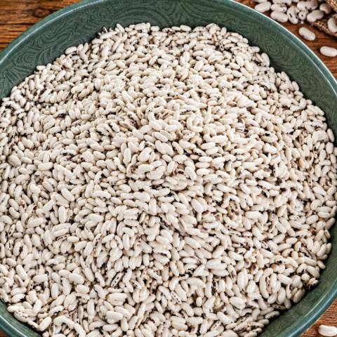 ChatGPT Image Sep 18, 2026, 04_29_54 PM White Beans/ Nyemba
