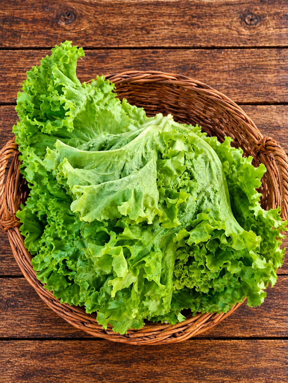 Codex Image Sep 16, 2026, 04_47_20 PM Lettuce