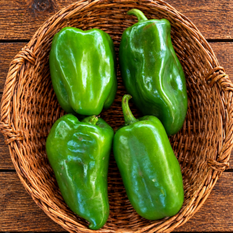 Codex Image Sep 16, 2026, 04_51_51 PM Green pepper