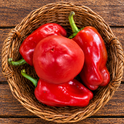 Codex Image Sep 16, 2026, 04_53_09 PM Red pepper