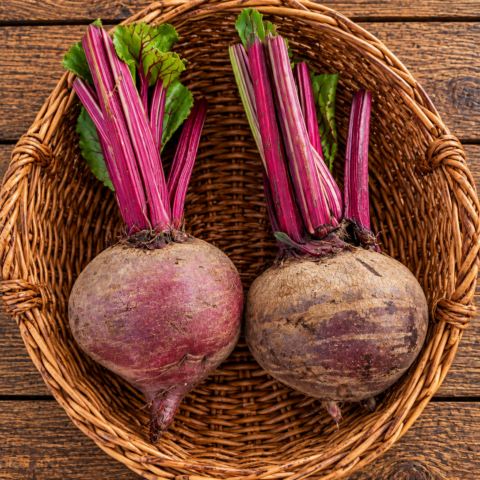 Codex Image Sep 16, 2026, 04_58_55 PM Beetroot