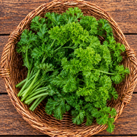 Codex Image Sep 16, 2026, 05_00_49 PM Parsley