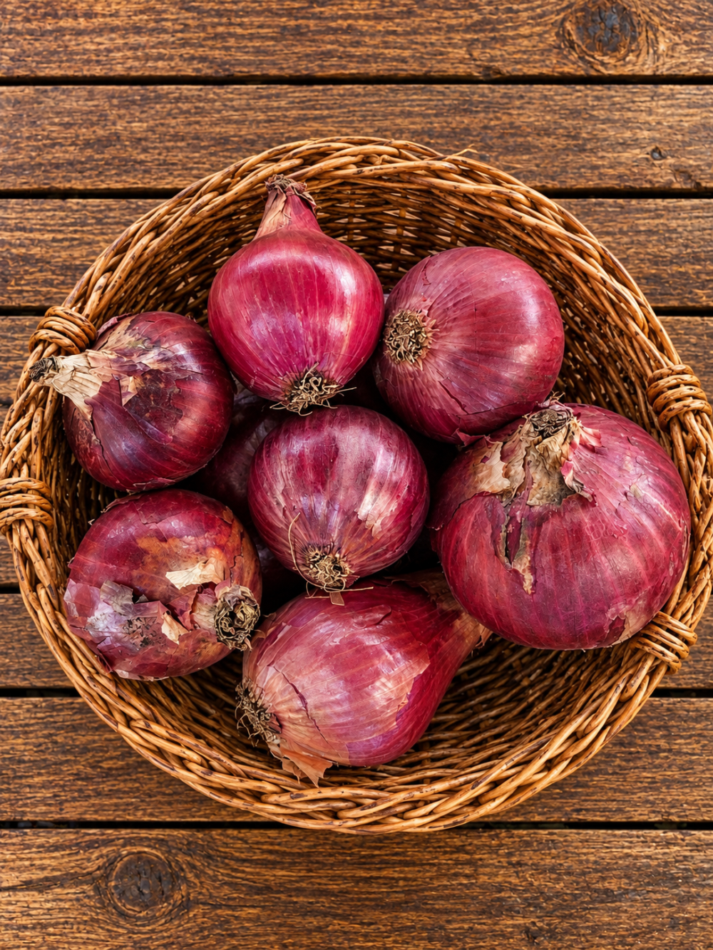 Codex Image Sep 16, 2026, 05_14_24 PM Onion