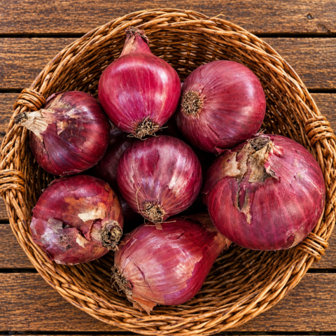 Codex Image Sep 16, 2026, 05_14_24 PM Onion