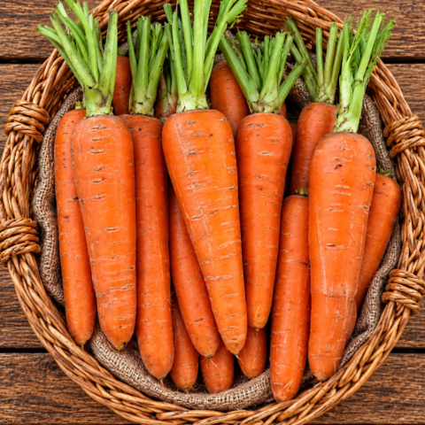 Codex Image Sep 16, 2026, 05_23_18 PM Carrots