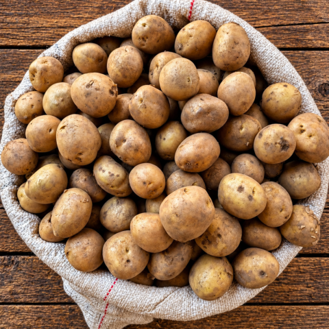 Codex Image Sep 16, 2026, 05_26_42 PM White Irish potatoes